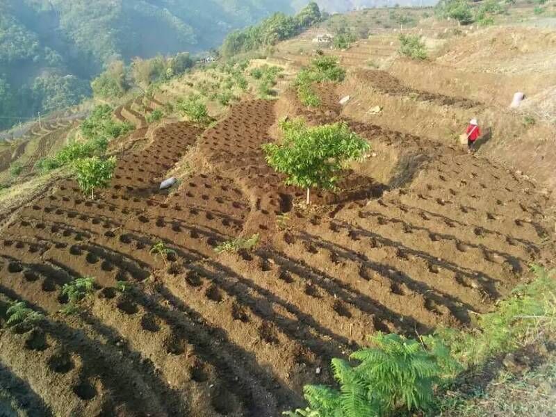 QQ图片20160511114545